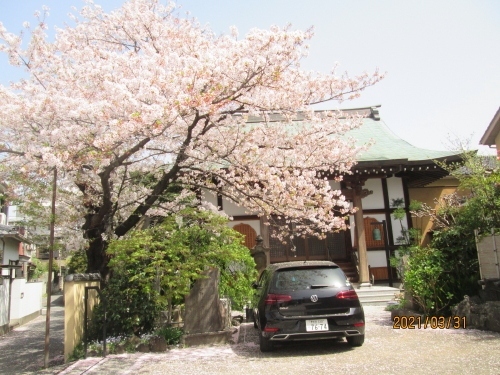 日蓮宗寺院の大正寺は、塚越山と号します。大正寺は、宅川庄兵衛が法華経の教えを広めようと、自らの邸宅に真間山弘法寺第十世禅智院日感上人を招き、さらに法華塚と呼ばれていた当地に慶長13年(1608)仏堂を建立、塚越山田正行寺と称したといいます。安政の大地震により安政2年（1855）堂宇倒潰、寺域も荒廃し正行庵と呼ばれるようになったところ、檀信徒の努力により大正2年堂宇を建立、大正寺と改号して慈光院日純上人が中興開山しています。（「松戸のお寺」より）