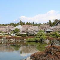 伊豆･箱根、富士山巡りの旅（１日目）