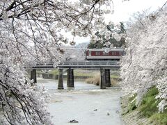 曽我川(奈良)の桜並木  The定番！日本の春の情景