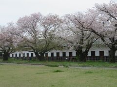 北九州の日本１００名城めぐり①　～大野城址と福岡城