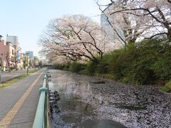 八高線に乗って再び高崎へ＆高崎城跡・三ツ寺公園で花見 2021/04/01