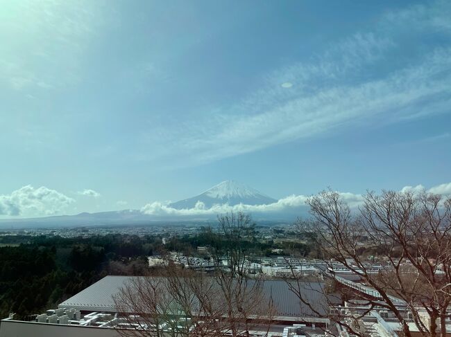 春が来た・・・桜も綺麗に咲いているし、お天気もいいし、鳥のさえずりも可愛い・・・しかし、コロナウイルスとの共生はまだ程遠く、自粛生活を強いられている。考えれば趣味の海外旅行にも行けず、海外でいつも爆買いしているにも関わらずそれもできず（あ、化粧品とワインはオンラインで買ってるか。でもお洋服は買っていない・・）、オープンカフェや屋台での食事もできず・・・。毎日、毎日、家と職場の往復だけでいやになっちゃうよー♪（泳げタイヤキくんのフレーズで読んでね）。ここらで景気よく食べる、飲む、買うの欲を解放しよう、そうだ、静岡にいこう！と思いたち友人のアテンドで楽しんできました。