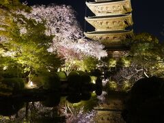 20210401-5 京都 東寺のライトアップ…不二桜見たさに、また拝観料をお納めして