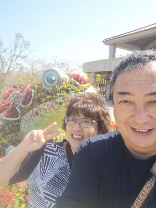 朝８時半から水族館を楽しみました。<br />美ら海のお客様が混み始めた11時ごろいったん水族館を離れ本部半島１周ドライブをスタート。<br />最初の目的地にしてた備瀬フクギへの左折ポイントはすーーーーーっと通り過ぎました(;&#39;∀&#39;)あららら　<br />それではその先の今帰仁城跡に行ってみましょう。<br /><br />４トラメンバーさま<br />たくさんの訪問＆「いいね」をありがとうございます。<br />バリ島大好き　まうまうです。<br />https://4travel.jp/travelogue/11131302<br />バリ島行の見通しが立たず心もお肌もささくれだらけ(;&#39;∀&#39;)。<br /><br />文中、不適切な表現やお見苦しい写真ばかりですが<br />突っ込まず見逃していただきたいと思います。<br />ちょっとだけ皆様のお役に立てればって投稿します。<br />「2021春　沖縄に癒される１～５」<br /><br />往路ANA　復路SNA<br />マハイナウエルネスリゾート（朝食付）２泊<br />美ら海水族館入場券　2人分<br />ベッセルホテルカンパーナ沖縄（朝食付）２泊<br />トラベルレンタカー　トヨタヴィッツ（全行程）<br />総額（２人で）　79,400円　<br />激安ですが、GOTOトラベル使用ではないです。<br /><br />マハイナウエルネス宿泊記録<br />https://4travel.jp/travelogue/11684767<br />ベッセルホテルカンパーナ宿泊記録<br />https://4travel.jp/travelogue/11685038<br />特集・毎日やっぱりステーキ<br />https://4travel.jp/travelogue/11684698<br />特集・沖縄美ら海水族館<br />https://4travel.jp/travelogue/11685111<br />