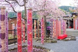 京都桜めぐり②  今こそS級スポットの嵐山へ