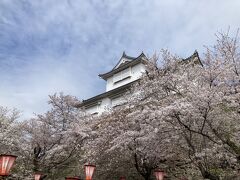 岡山の桜めぐり津山-周匝-建部-後楽園