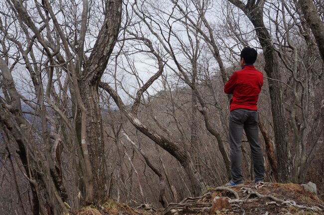 「山と食欲と私」をきっかけに始めた元旦低山登山。<br />今年は当初日光の鳴虫山にしようと思っていましたが年末の写真を見ると積雪を確認。<br />自分の力量と装備では無理と判断して断念しましたが挑戦してみたい気持ちは変わりません。<br />そこで雪の心配のないこの時期に登ってみようと思ったのは前日の夜でした。相変わらずの街歩きの格好で登山敢行です