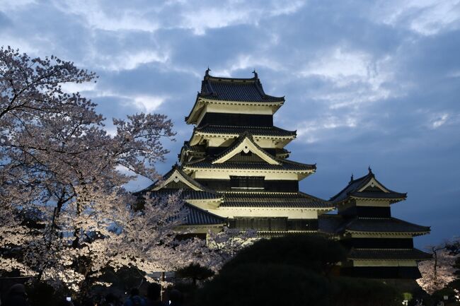 桜の時期にお城の旅をしたいけれど、コロナの様子を見ていたら出遅れた。<br />しかも、この時期は繁忙期によりあまり時間が取れない。<br />そしたら、松本城の満開予定日が4月になっていたので、<br />これは行くしかないでしょ!<br /><br />高速バスは電車よりも30分ほど時間がかかるようですが、<br />料金は半額近くお安くなるので、高速バスで行くことにしました。<br /><br />行き:07:05 バスタ新宿発 10:23 松本バスターミナル着予定<br />帰り:19:00 松本バスターミナル発 22:18 バスタ新宿着予定<br /><br />行きは定時刻よりも数分早い出発。<br />なるほど、予約した人が揃っていれば待つ必要もないか。<br />ちょっぴり早く到着するのではないかと期待しましたが、<br />都内あたりは結構混んでいる感じで結局約1時間遅れの11:20松本到着。<br /><br />帰りはスムーズで、15分早い22:03到着。<br /><br />この日の徒歩数27,685歩。移動距離18.1キロ。<br />たいへんよく歩きました。
