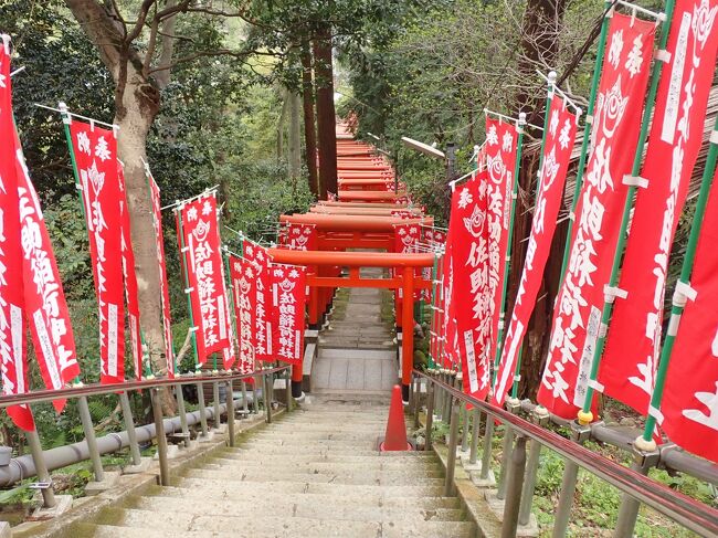 浄智寺を出て「大仏ハイキングコース」へ向かいます。<br />ゆったりとした山道ですが道に木ノ根が多く張り出しちょっと歩きにくいです。<br />「浄智寺」から「葛原岡神社」までは1㎞弱です。<br />この先は舗装道路を進みます。<br />ハイキングコースから離れて「銭洗弁財天宇賀福神社」と「佐助稲荷神社」へ立ち寄りました。そのままハイキングコースへ行けると思ったのですがバリケードがあり進入禁止となっているので来た道を登り返すことになります。<br />ハイキングコースに戻ってから途中でコースを右手の「桔梗山」へ進みました。（指導票はありません）<br />この先は多くの人が訪れることがないようです。「野村総合研究所跡地グランド」に出て「御所ノ内」へ下り「大仏切通」を経て「大仏ハイキングコース」へ戻りました。<br />「高徳院（鎌倉大仏）」へ立ち寄り帰りました。<br /><br />化粧坂切通しと大仏切通し<br />https://youtu.be/sDEoylnJ0ww<br />宇賀福神社（銭洗弁財天）へ訪れました。<br />https://youtu.be/vFQzpJ3so-0<br />佐助稲荷神社へ訪れました。<br />https://youtu.be/9gtiDvAMFYw<br /><br />