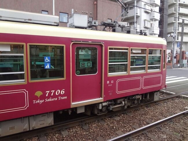 　毎年　神田川の花見を見ます。今年は　満開の時期を過ぎたので　花見にはなりませんでした。<br /><br /> ◆東京さくらトラム　<br />　都電荒川線東池袋４丁目－面影橋－早稲田<br />　早稲田―新庚申塚<br />