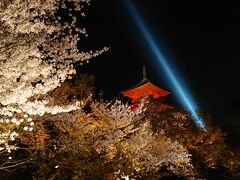 春休み！子連れ 桜の京都旅行
