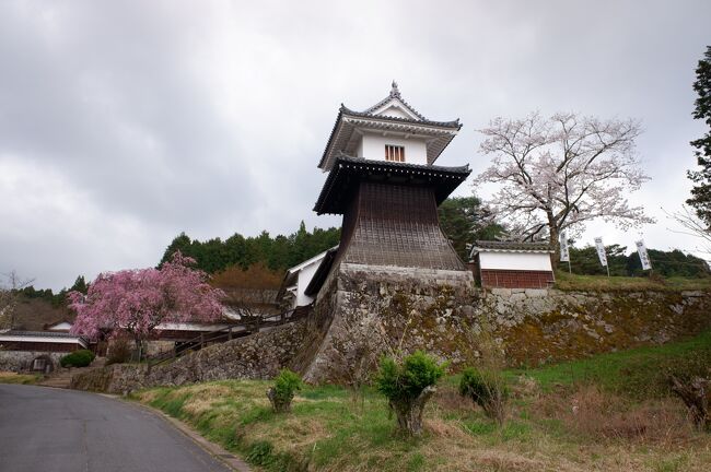 かなり久しぶりの青春18きっぷによる週末プチ日帰り一人旅シリーズ。岐阜県恵那市にある日本百名城の山城・岩村城と恵那峡を訪問してきました。何気に2020年は青春18きっぷの日帰り旅がなかったので、一年以上ぶりです。<br /><br /> 岩村城下町は2018年の永野芽衣さん主演のNHK朝ドラ「半分、青い」の舞台でもあり、レトロで懐かしい感じがする古い町並みがよく保存されていました。<br /><br /> 岩村城は日本百名城かつ三大山城のうちの一つ(あとの二つは備中松山城と高取城)であとの二つは訪問済みなのでこれで三大山城は制覇です。また「おんな城主」の里としても有名です。「おんな城主」といえば、NHKの大河ドラマにもなった柴咲コウさん演じた井伊直虎が有名ですが、一方で激動の時代を生きて悲劇的な最期を遂げるおんな城主「おつや」も知る人ぞ知るという感じです。<br /><br /> 恵那峡は自然の景観とダム湖が上手く合わさった景勝地で、古くからの観光地として有名です。タイミング悪く遊覧船には乗れなかったのですが、公園に咲く桜やヤマモモの花々が見ごろでした。<br /><br /> そして旅日記の表紙は岩村城太鼓櫓と桜、四連続でお城と桜になってしまいました。(笑)<br /><br />06:09 越前花堂<br />07:07/07:17 敦賀<br />07:33/07:34 近江塩津<br />08:08/08:25 米原<br />09:29/09:46 名古屋<br />10:55/11:21 恵那<br />11:50/14:16 岩村<br />14:45/15:10 恵那<br />15:25/16:50 恵那峡<br />17:05/17:07 恵那<br />18:13/18:24 金山<br />19:39/20:04 米原<br />20:53/20:57 敦賀<br />21:45 越前花堂