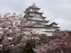 ご近所散歩姫路再発見　桜咲く風景