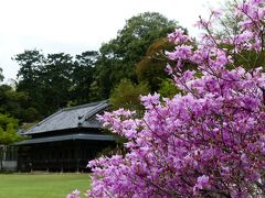 館林 桜 に関する旅行記 ブログ フォートラベル 群馬県 館林 桜 に関する旅行記 ブログ フォートラベル 群馬県