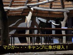 噂の「アフリカ・オーバーランドツアー」に参加してみたさ…その１０　ゾウ嵐キタ～！　