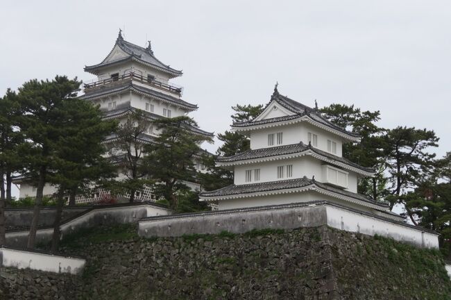 旅行社のツアーで、北九州の１００名城７か所を２泊３日でまわってきました。<br /><br />丁度桜の時期と重なる日程でしたが、今年の桜開花の異常な速さから、各お城の桜も面会を過ぎ、ほぼ葉桜となっていました。<br /><br />ツアー最終日は、長崎県の島原城と佐賀県の佐賀城、さらには吉野ヶ里遺跡を見学し、福岡空港から夜8時前のっ飛行機で帰京しました。<br />