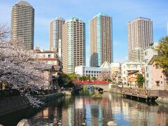 東京☆桜さんぽ☆（地元の人で賑わう「３月のライオン」の舞台、佃エリアから門前仲町まで歩いてみた～）