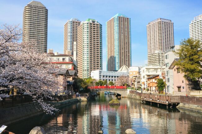 東京は、有名な桜の名所でなくても、<br />車道、川沿い、親水公園など、<br />至る所に無名の桜並木があったりする「桜シティ」♪<br /><br />そこは地元の人々に愛される隠れスポットだったりして<br /><br />名もなき満開の桜並木の下を、<br />車で通るだけでもテンションが上がります<br /><br />お台場から、自転車でやってきた月島・佃エリア<br />無名ではないけれど、遠方からの観光客というよりは、<br />地元の人たちで賑わっているイメージ<br /><br />水上バスからも眺められる、隅田川沿いの桜ですが、<br />やはり桜の下をゆっくり歩きたいー