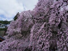 白河の旅行記