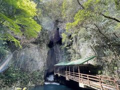 フグ食べ行こう～♪山口旅　（2021/4/3～５）