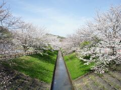 2021春を楽しむ　伊豆・箱根旅行