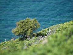 サルデーニャ島でワーケーションー世界最強の監獄の話など