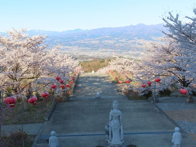 【榛名神社・榛名湖・ゆうすげの道＆伊香保佛光山法水寺 高崎・渋川 2021/04/05】<br /><br />今日は友人の運転で高崎市にある榛名神社・榛名湖に行きます。榛名山は赤城山・妙義山と共に上毛三山の一つで、榛名神社は榛名山の神を祀る神社で、主祭神は火の神・火産霊神と土の神・埴山姫神、水分神・高?神・闇?神・大山祇神・大物主神・木花開耶姫神を合わせ祀られています。また、奇岩に囲まれた地形と共に、関東屈指のパワースポットとしても有名となっています。<br />門前にある駐車場に車を止めると、大きな石の鳥居があり、その奥には歴史を感じる山門、随神門を潜ると、石製のなだらかな坂道を上がります。暫く行くと、三重塔があり右側には、割りとキツイ石段があり、階段を上がりきったところに榛名神社があります。生憎、榛名神社は改装中でしたが、周りの風景と相まって矢張り山寺と言う感じがして、良かったです。行く途中、見所がたくさんあり、ブロンズ像の七福神が置かれていました。<br />