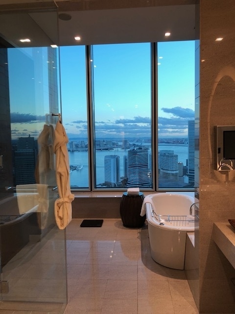 コンラッド東京に宿泊するのは初めて!<br />部屋からの景色に癒され、年の初めに素敵なステイケ―ションとなりました。<br /><br />東京の風景も素敵ですね~<br /><br /><br />