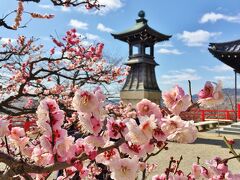 春の兆し感じる梅満開の中山寺&清荒神へお参り♪