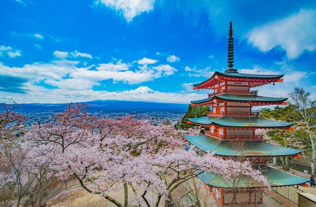 外国人観光客がイメージしている（であろう）<br />Fujiyama＆Cherry blossomの光景を自分でも見たいな～と前から思っていた中、行ってみました。<br /><br />数日前から天気予報と何度も睨めっこし、<br />桜の開花情報をいろいろ調べながら、この日しか無いっ！と思って選んだ日。<br /><br />最高のタイミングだったと思い、、、、、ます。<br /><br />ちなみに、旅行記の表紙は、ちょっと絵葉書っぽくしたくなり、<br />色相等調整して遊んでみました♪<br />