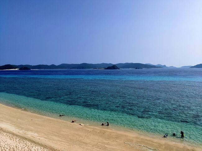 青森から収監されていたら、旅友AKBさんから阿嘉島の宿がお盆なのに空室できましたよという心動かす囁きが！<br /><br />ささっとJAL便調べたら、皆さんのコロナ禍自粛のためにフライトも選び放題なんです。<br />これはきっとJALさんも大変だ！という思いもあり、思わずポチっとしてしまった晴れ男。<br /><br />念願叶って阿嘉島に1泊だけだけど初めて泊まってスノーケルをすることになりました。<br /><br />こちらは阿嘉島滞在2日目から離島、泊港までの旅行記となります。