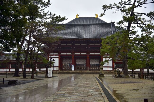 古都奈良は新薬師寺と東大寺、興福寺へ<br />冷たい春の雨に打たれながらの、<br />今回の古寺巡礼<br /><br />若草山の山焼きの日だったのですが、<br />あいにくの雨で中止に<br />目的が、山焼き撮影だっただけに、残念!<br />でも、春雨に濡れる古寺では、<br />観光客のいない風景を撮ることが…<br /><br />