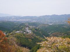 20210408 吉野 吉野山の桜も今年は早いのね。奥千本もだいぶ散ってしまい…代わり？に金峯山寺でえぇもん見られたけれど