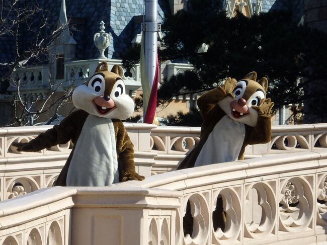 21年 ミラコスタ パラッツォパティオルームと東京ディズニーランド 東京ディズニーリゾート 千葉県 の旅行記 ブログ By やっちまさん フォートラベル