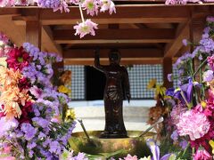 春爛漫の京都花紀行