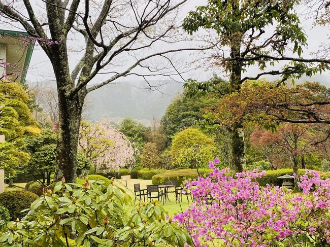 2021年4月 週末温泉旅  in 東急ハーヴェストクラブ箱根明神平