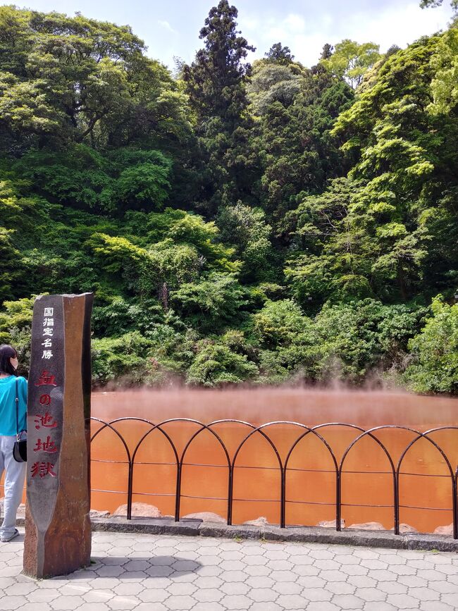 さてGW の時期です<br />去年はコロナの影響で ほぼ何処へも行けませんでした<br />そこで今年は 夫に合わせて休みを取り<br />夫が行きたい 九州へ行ってみます<br /><br />今回の費用は 旅行を計画した夫持ちです<br />私は現地での食事 観光 交通費を支払う約束にしました<br />仙台福岡往復は 夫のユナイテッドのマイルを使います<br /><br />昨日無事博多に到着 念願のもつ鍋を堪能しました<br />今日はレンタカー+高速で 大分方面へ向かいます