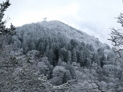 兵庫・奈良　年末年始登り納めと登り初め①六甲山