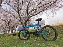 自転車でGO! 2021.03.31 =桜を見ながら沼津まで走りました=