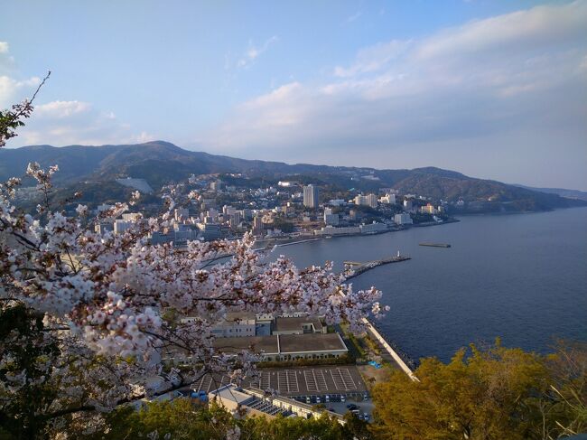 2021年 3月の熱海です。<br /><br />関東からだと旅というよりは少しだけ遠い散歩の地。<br />伊豆は学生時、社会人初めによく行きましたが・・・<br />踊り子には会えず、何も見つからず仕舞いにしました。<br />久しぶりです。<br />期待もせずに最も近い温泉が出そうな熱海にしました。<br />神奈川、東京は自粛エリアですが、こちらはなんとか静岡エリアであり、<br />熱海駅周辺や国道135号はものすごい渋滞です。<br />何かを見つけようとすると何も見つけられない伊豆です。<br />東京の海辺庭と思えばいいのですね。<br />サクラ、海も見えてとても気持ち良い春の日でした。<br /><br />それでは、罪旅どーぞ。