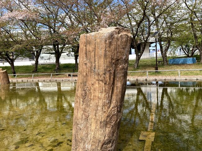 昨夕からの雨で山へのトレッキングは断念、海は7374(波なし)、ご近所ウォーキングにしました。また、来週からは、まん延防止等重点措置、県内でおとなしくしています(涙)<br /> 源頼朝は久安3年(1147年)4月8日に生まれ、建久10年(1199年)1月13日に御逝去されたそうです。<br /> 平安時代末期から鎌倉時代初期の武将で、伊豆国での流人生活中に伊豆の豪族であった北条時政の長女政子と婚姻関係を結びました。<br /> 建久9年12月27日、相模川で催された橋供養からの帰路で落馬したと言われて翌年の建久10年(1199年)1月13日死去されました。享年53歳(満51歳)<br />