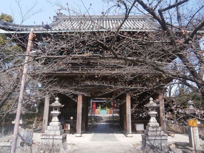 成田山大聖寺から始めた東海36不動尊霊場の巡礼の4回目に出かけることにしました。今回は所用のあとの時間を利用して名古屋市内に点在しているお寺を自家用車で巡る旅です。