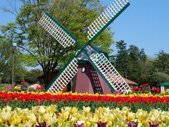 春のうきうきフェア♪その２　～県立フラワーセンター・四季の花壇から彫刻の道～