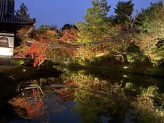 京都　ちょっと紅葉（東福寺　庚申堂　高台寺　圓徳院）