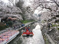 富山市内の，桜・蕎麦・桜・桜