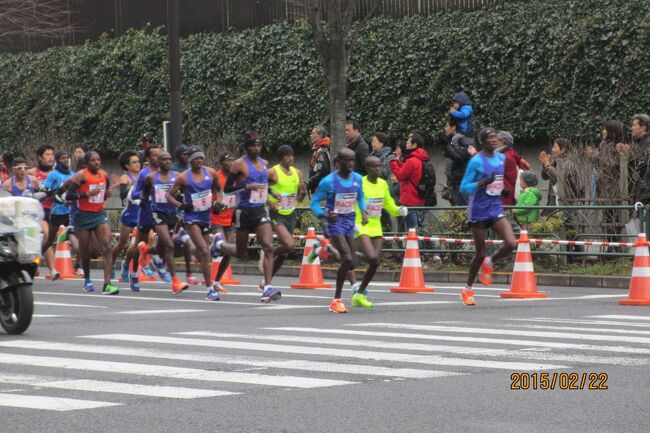 東京マラソン2015応援<br />私も2007年2010年と出場したが、今年は子供が出るというので沿道で応援。<br />途中、港区にある東禅寺を散策。