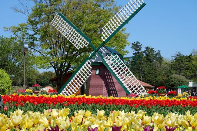 春のうきうきフェア♪その２　～県立フラワーセンター・四季の花壇から彫刻の道～