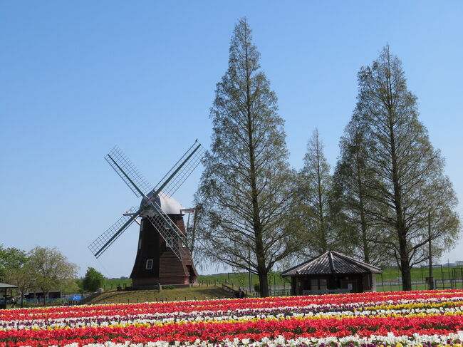 常磐線沿線を日帰りですが、旅してきました。