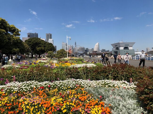 「よこはま花と緑のスプリングフェア2021」で、イベント会場を回り、春のお花見を楽しんできました。<br /><br />桜木町駅 → 新港中央公園・赤レンガ倉庫 → 横浜公園 → 山下公園 → 港の見える丘公園 → 石川町駅 <br />