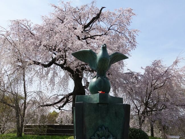 2021年3月の京都。昨年12月の予約で桜満開の時期を引き当てました。有名な桜の名所だけでなく、隠れたスポットや街なかの桜など、桜づくしを楽しみました。<br /><br />その５は東山の桜巡り。八坂神社から円山公園、知恩院へ。さらに岡崎疏水から金戒光明寺、真如堂まで足を伸ばしました。円山公園を別にすると、人もそれほど多くなく、ゆったりとした花見ができました。<br /><br />・八坂神社から円山公園<br />・知恩院<br />　　三門、御影堂、方丈庭園、山亭庭園、勢至堂から御廟<br />・岡崎疏水<br />・金戒光明寺<br />・&#21522;枳尼天と真如堂<br />・宗忠神社鳥居<br />・鴨川<br /><br />表紙写真は、円山公園の枝垂桜